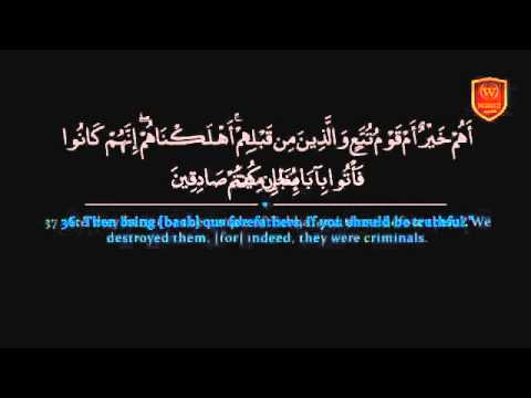 شبيه ياسر الدوسري القارئ مشاري البقمي سورة الدخان