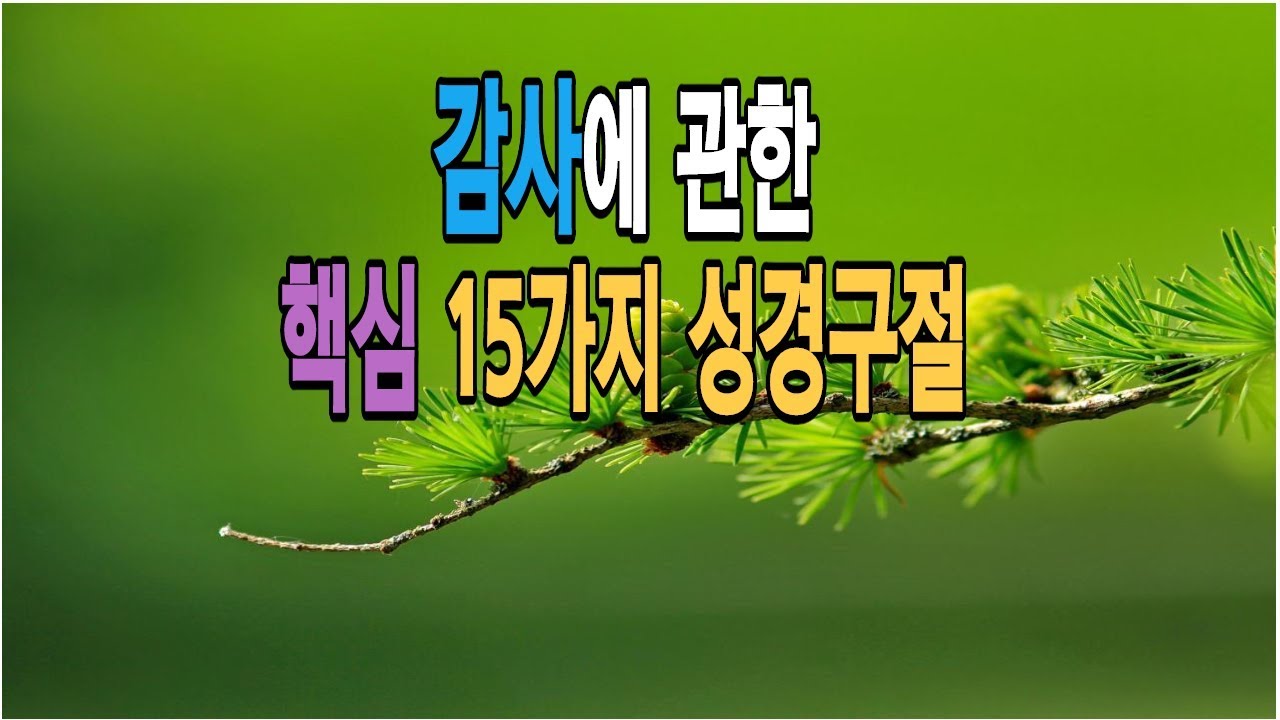 [매일말씀] 감사의 힘 - 감사에 관한 핵심 15가지 성경구절