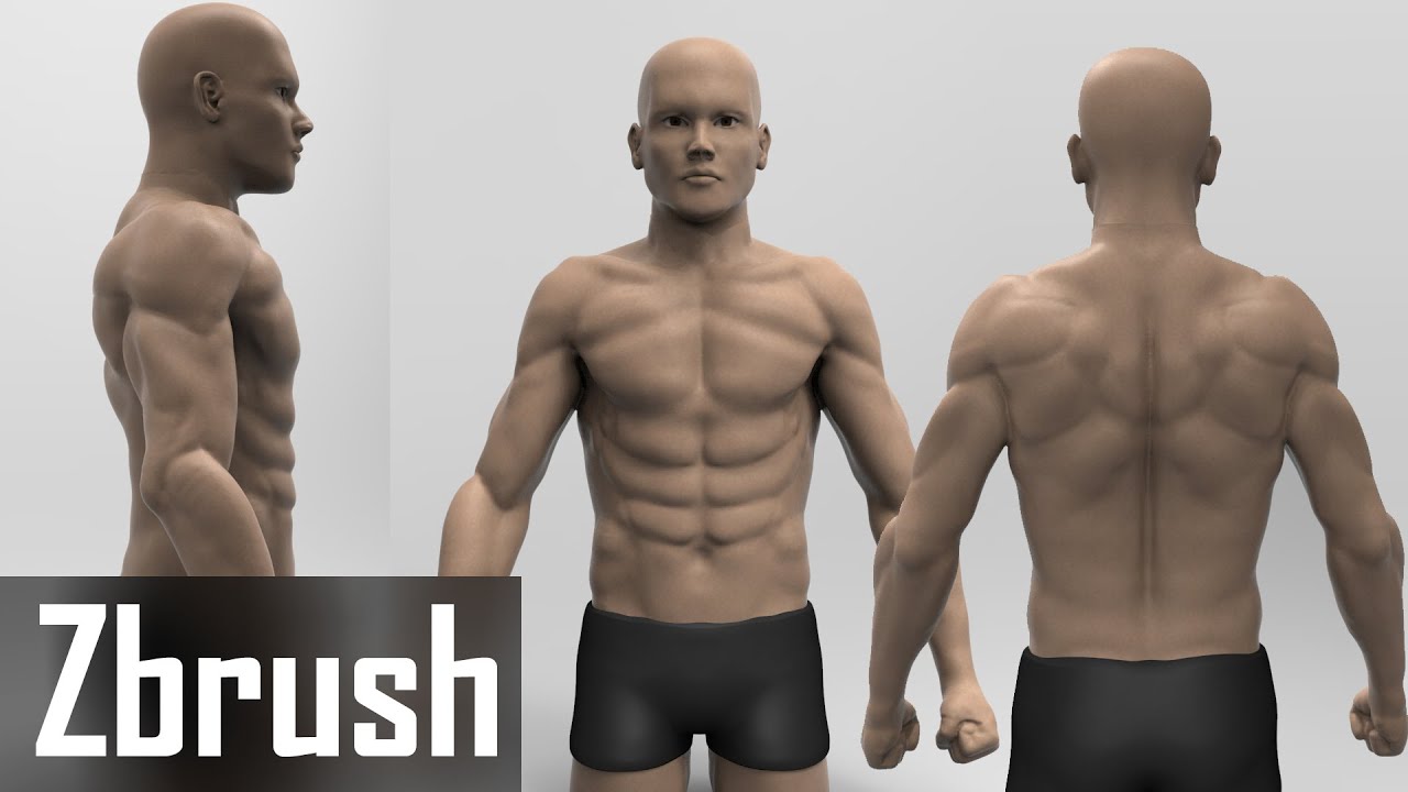 ZBRUSH Muscle Character Male Sculpt | Timelapse | 3D Passion