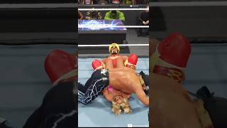 Hollywood Hulk Hogan Vs Nikkitapart 4