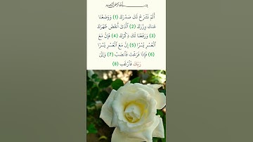 سورة الشرح ❤️ القارئ عبد الباسط