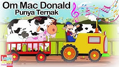 Om Mac Donald Punya Ternak ( Old Mac Donald had a farm )  | Lagu Anak Indonesia  - Durasi: 3:16. 