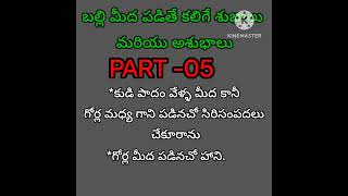 బల్లి మీద పడితే కలిగే శుభ ఆశుభాలుreligion ytshorts bhakthi fact 2023