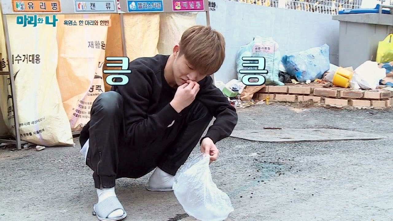 한빈, 길에서 똥 줍다?! 아메의 커피콩똥 생산에 '멘붕' 마리와 나 6회