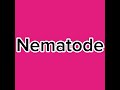 How to pronounce Nematode😍 #nematology #nematode #english #pronunciation #englishspeaking #spelling
