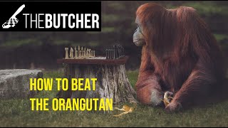 Chess Openings: Take Down The Orangutan with Black!!