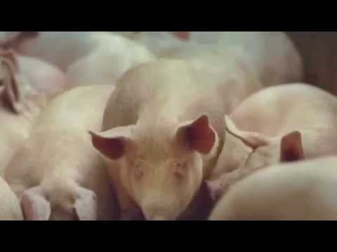 مخرج 9