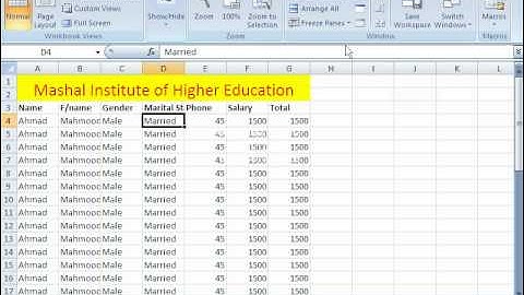 Microsoft Excel 2007 ---View Tab Tutorial In Dari Part2