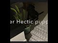 Who would win #memes #dog #funny #viralvideo #viralvideo