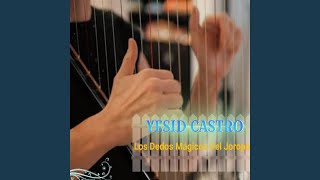Video thumbnail of "Yesid Castro - Travesuras del Gavan"