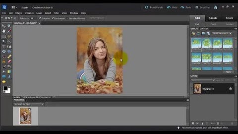 How to Use the  Menus in Photoshop Elements 6-10  Part 2