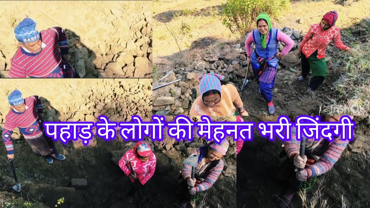 पहाड़ के लोगों मेहनत भरी जिंदगी//मम्मी लोग गए रोजगार गारंटी पर//पहाड़ी लोगों की मेहनत
