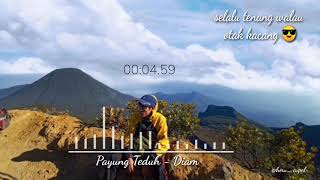 STORY WA Spectrum santuyy || Payung Teduh - Diam ||