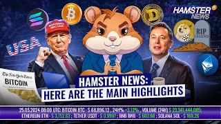 TRUMP TOKEN by 50,000% ⚡ CRYPTO GROWTH || Hamster News