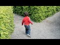 迷路_ さとうささら