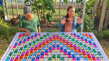 Ball Sort Puzzle Game Champion Brian #challenge #sortcolor #puzzlesolving  #game #puzzleball #puzzle