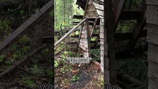 Hiking @ Last Frontier 🐻🏔️ #bushcraftadventure #alaska #lastfrontier #shelterbuilding
