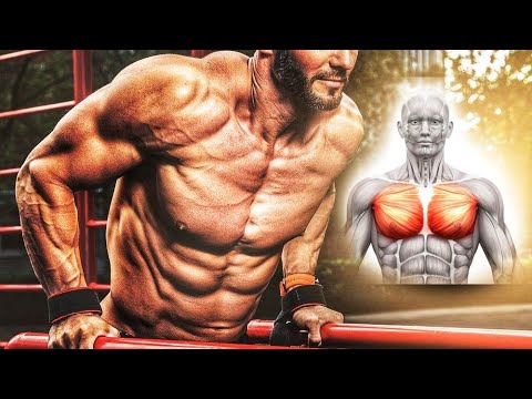 ორძელი ტექნიკა - მკერდის ვარჯიში ორძელზე Chest Workout on the Parallel Bar