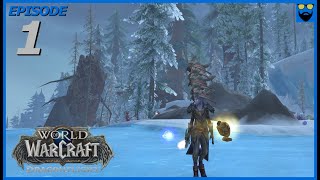 Let's Play World of Warcraft Dragonflight - Solo Endgame Play - Part 1 - Casual  Relaxing Gameplay