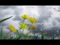 اغاني سبيستون بنات الميتم النهايه اغاني سبيستون بنات الميتم النهايه