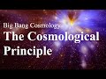 The Cosmological Principle