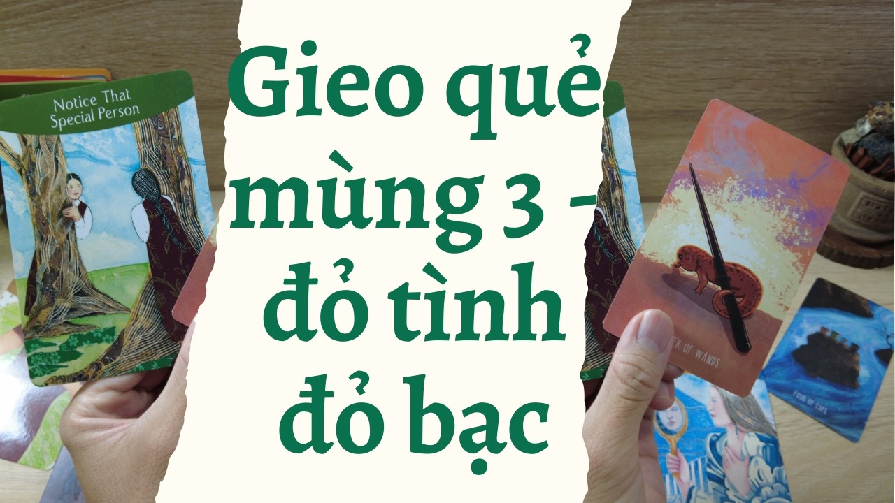 Gieo quẻ mùng 3 - năm nay đỏ tình đỏ bạc không? | series tết tarot  - Khu vườn nhỏ của Andy