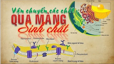 VẬN CHUYỂN CÁC CHẤT QUA MÀNG SINH CHẤT | SINH HỌC THPT