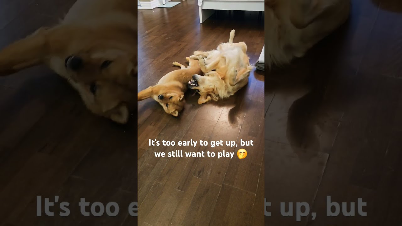 These 2 Are Hilarious 