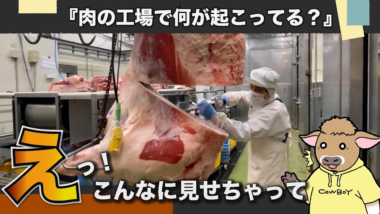 肉肉肉！！！ここまで見せちゃっていいの？枝肉と脱骨！！！