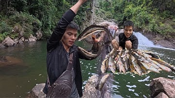 2 ngày 1 Đêm răng lưới bắt cá trên thượng nguồn  kiếm ăn trong rừng sâu | Nhiệt Đới Vlog