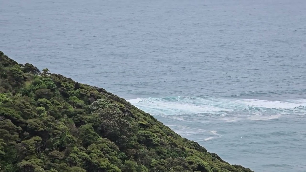 Piha Beach, WestSide of Auck!  