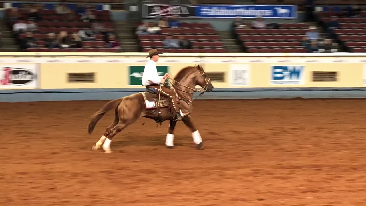 Slinky Reining 2018 Aqha World Show Youtube