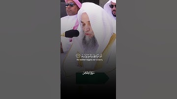 سورة الإخلاص - فيصل الغزاوي