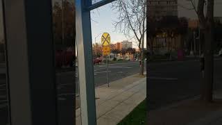 downtown Fresno across at crmc hospital  and golden living  !!!
