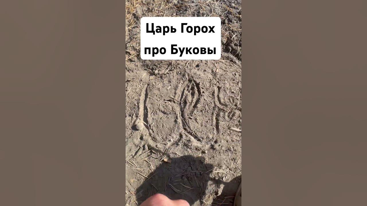 Про Букову Иже читай Буковник Всеясветной Грамоты. - YouTube