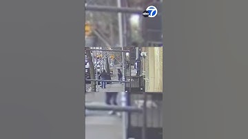 Dramatic video shows moment NY apartment building collapses
