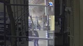 Dramatic video shows moment NY apartment building collapses