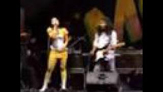 dangdut monata bersama bintang