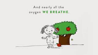 Can you imagine a world without plants?
