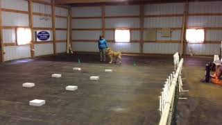 Riley Birch Ort 4.7.18