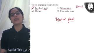 Succus entericus is referred to as: (a) Intestinal juice (b) Gastri...