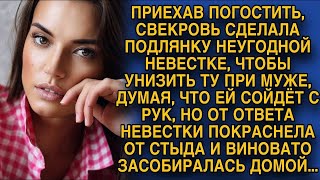 картинка: Свекровь сделала подлость невестке и думала ей сойдёт с рук, но невестка не растерялась