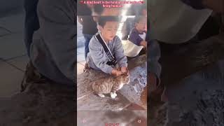 Just Needed Help animals