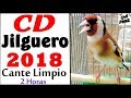 Goldfinch Singing 2018 Cd Goldfinch Singing 2018 Cd