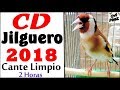 Canto del Jilguero CD Limpio 2018 | Chant chardonneret 2018