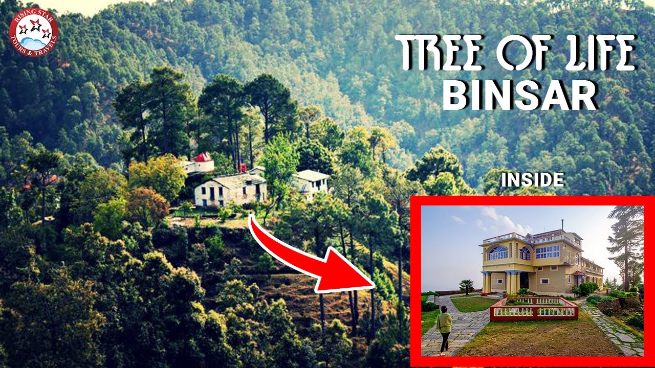 Tree of Life Grand Oak Manor Binsar - Luxury 4 Star Hotel To Stay in Binsar - Uttarakhand