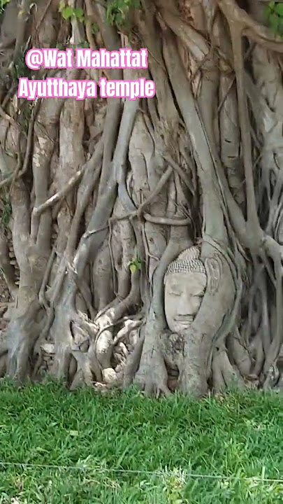 Wat Mahattat Ayutthaya temple #temple #travel #Thailand