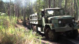 Military Vehicle Offroad Trail Ride