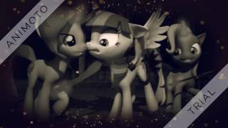 Mlp Sfm