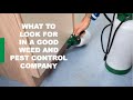 What to look for in a good weed and pest control company